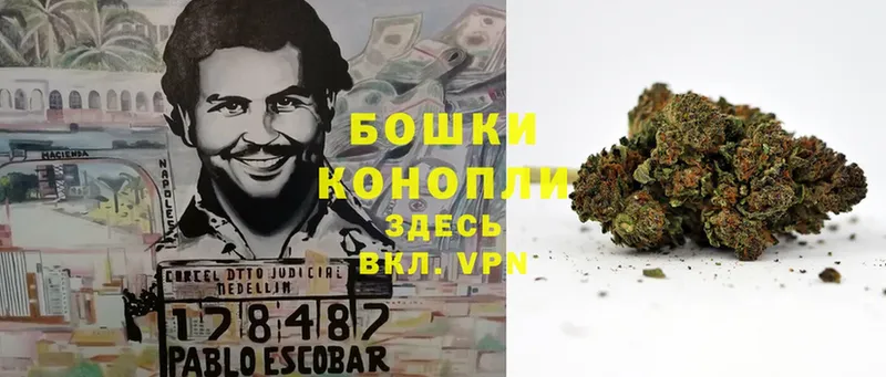 где купить   Углегорск  Бошки Шишки White Widow 